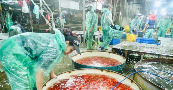 Trước ngày ông Táo về trời, chợ cá Yên Sở ngập sắc đỏ 