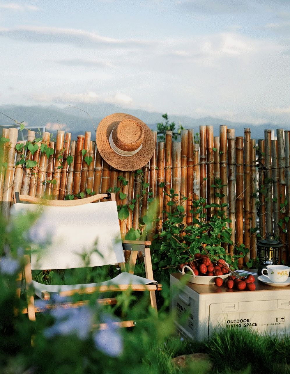 Một buổi picnic mùa hè ngay trên sân thượng