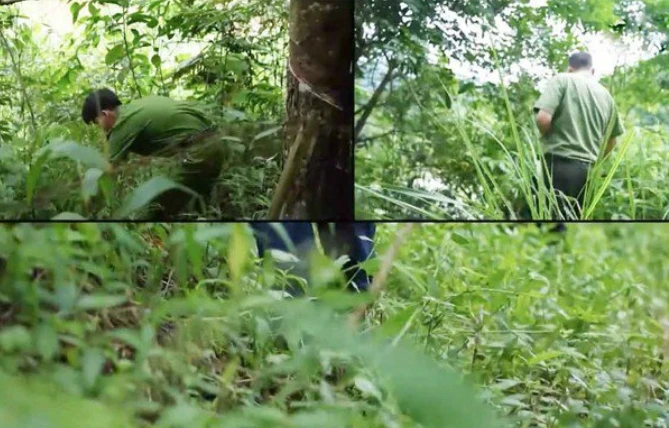 Hành trình truy bắt tên cướp có biệt danh “người rừng” như “phim hành động“