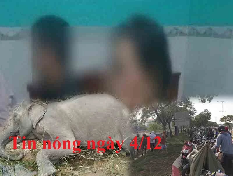 Tin nóng ngày 4/12: Phát hiện 2 phụ nữ U60 bán dâm