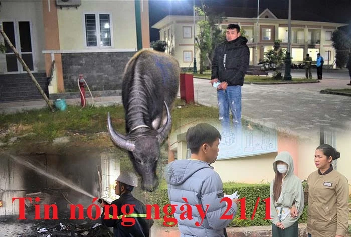 Tin nóng ngày 21/1: Không xin được tiền, chồng bỏ thuốc chuột đầu độc vợ