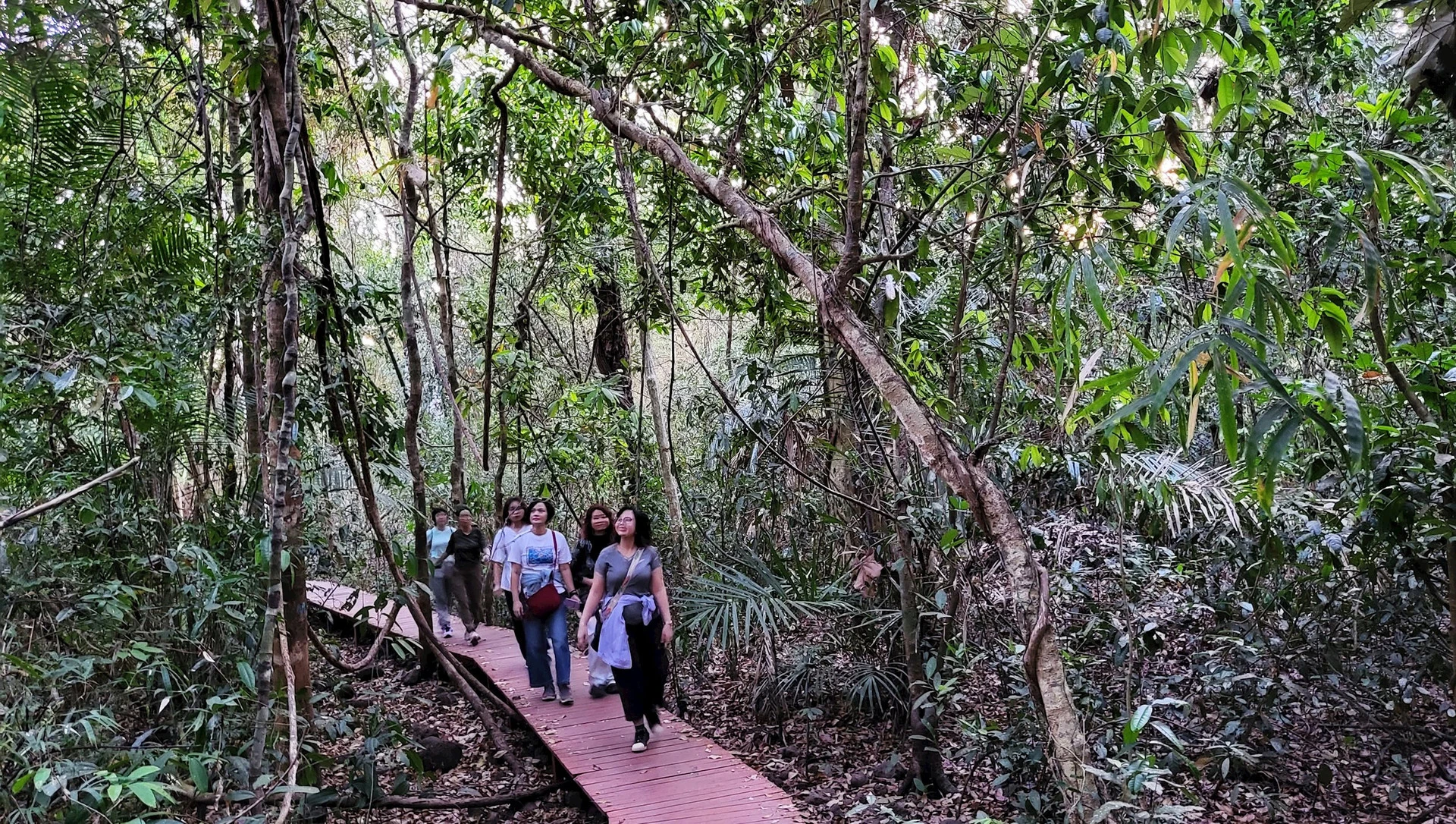 Rủ nhau đi “trốn nắng” ở Vườn Quốc gia Cát Tiên