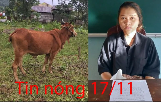 Tin nóng 17/11: Gã đàn ông đột nhập nhà người tình làm việc mờ ám