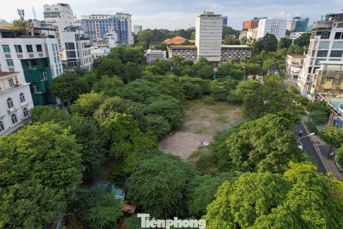 Được kỳ vọng là tòa tháp cao thứ 3 tại TPHCM với 54 tầng nhưng sau gần 2 thập kỷ, dự án tháp SJC Tower vẫn chỉ là bãi đất trống mọc đầy cỏ dại được quây kín bằng hàng rào tôn.