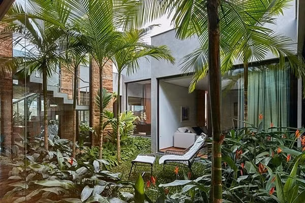 Nếu chặt bỏ cau khi không cần thiết có thể vô tình cản trở dòng năng lượng tốt đang lưu thông trong nhà, khiến không khí trong vườn mất cân bằng, từ đó kéo theo nhiều xáo trộn về tinh thần và sức khỏe gia chủ.