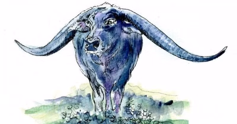 Với kinh nghiệm phong phú và kỹ năng chuyên môn vững chắc, người tuổi Sửu có thể tự lập trong công việc, trở thành người dẫn đầu trong ngành. Thu nhập của họ cũng sẽ tăng đều đặn khi được thăng chức.