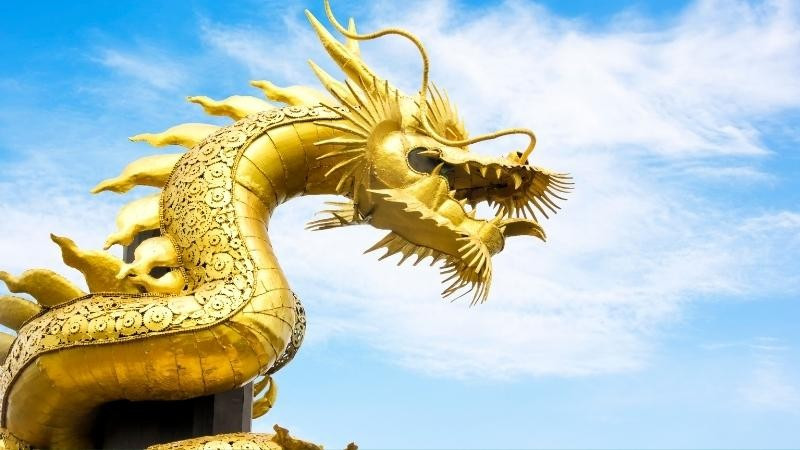 Trực giác tốt và khả năng nắm bắt thời cơ giúp tuổi Thìn thường đi trước người khác một bước, tạo lợi thế trong công việc lẫn cuộc sống.