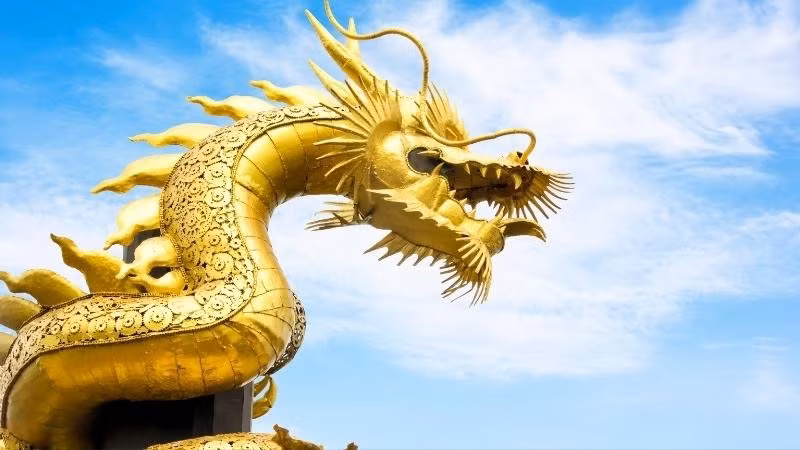 Trực giác tốt và khả năng nắm bắt thời cơ giúp tuổi Thìn thường đi trước người khác một bước, tạo lợi thế trong công việc lẫn cuộc sống.