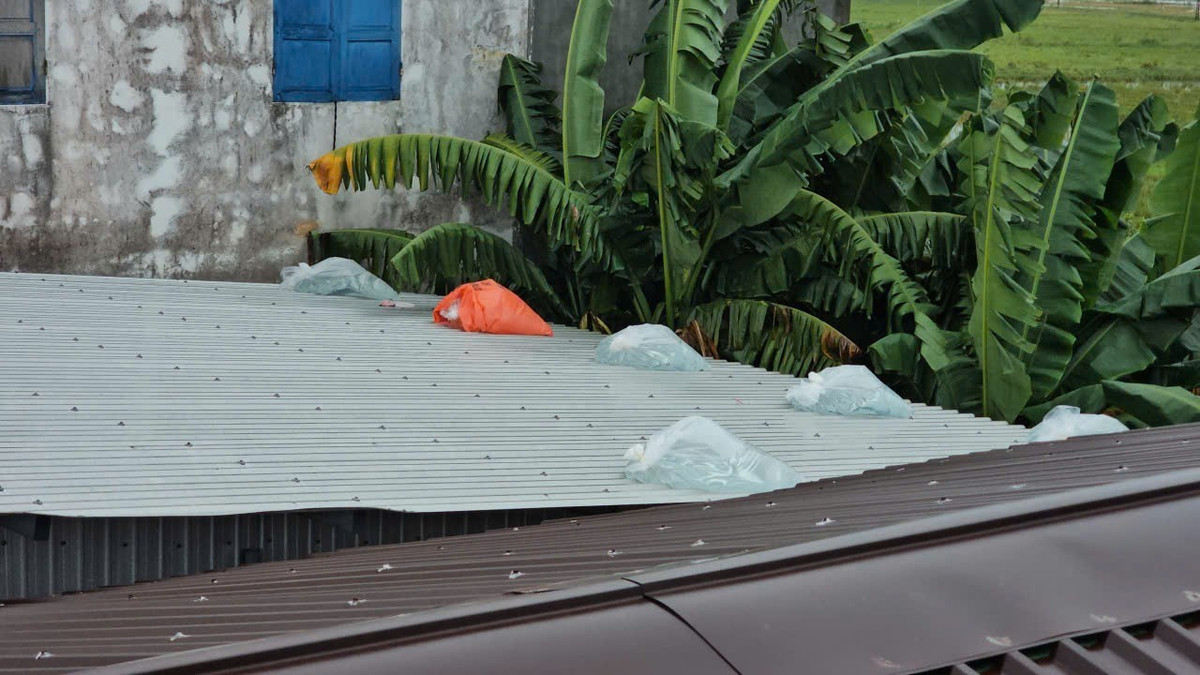 Những này thay thế bao cát giằng giữ mái nhà được sử dụng trước đây.