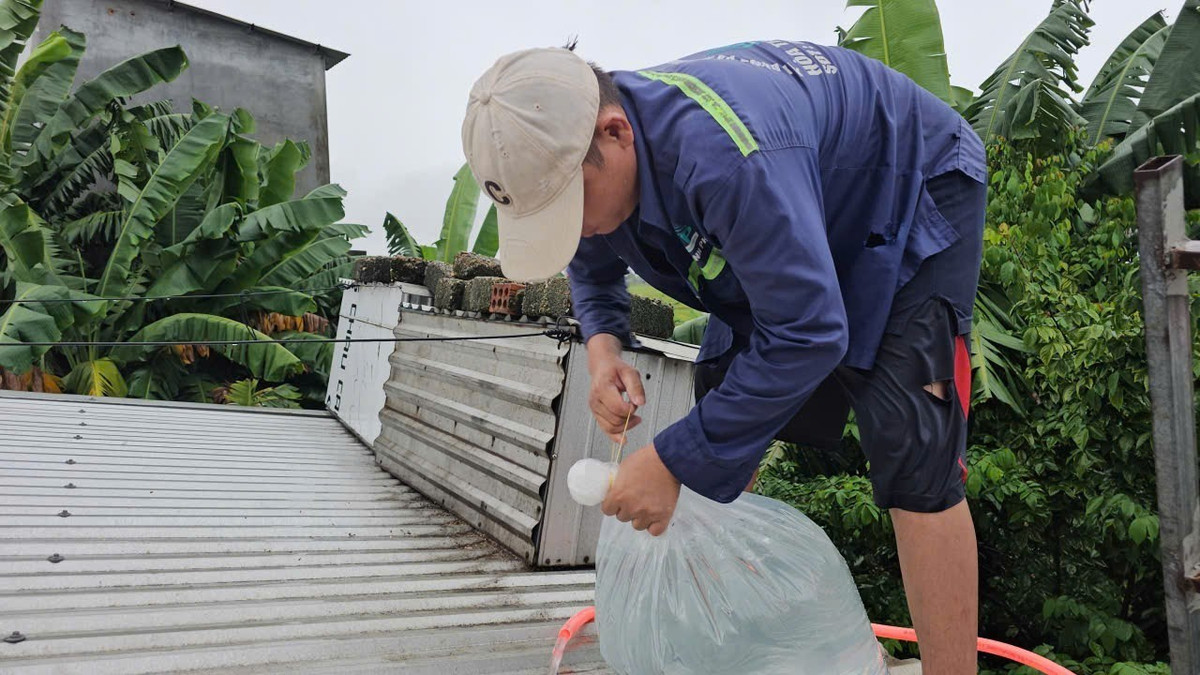Người dân đưa nước lên mái nhà, bơm vào túi nhựa để làm vật bảo vệ tấm lợp.