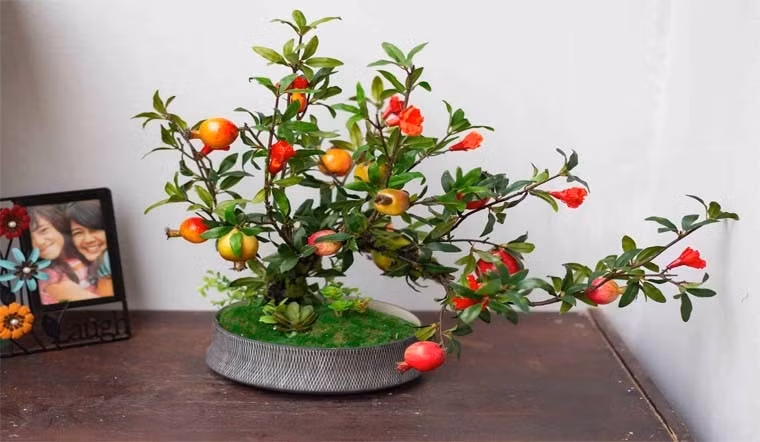 Cây lựu có màu hoa đỏ rực, có quả sum suê tượng trưng cho sự sum vầy, thịnh vượng. Quả lựu nhiều hạt, màu đỏ tượng trưng cho sự sinh sôi, phúc lộc dồi dào.