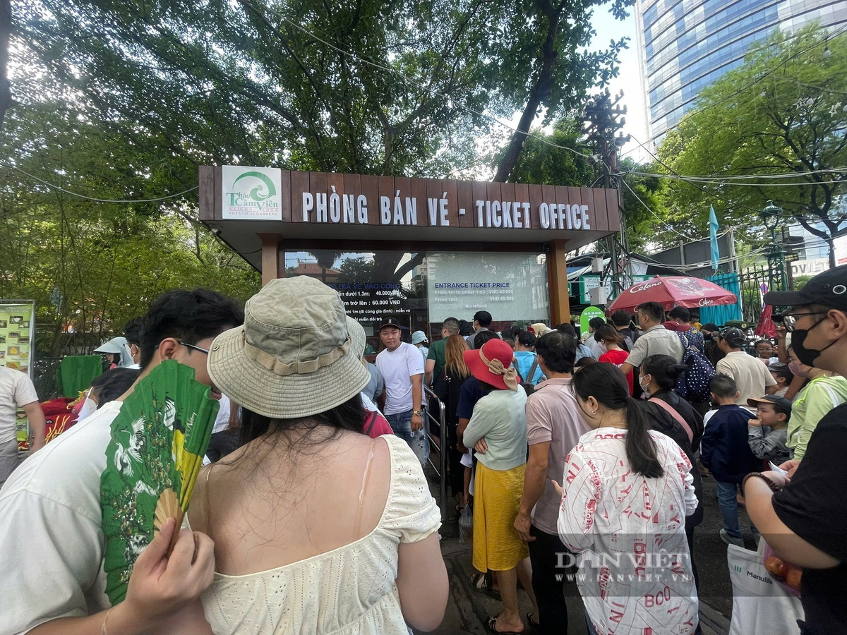 Giá vé không tăng so với ngày thường, 30.000 đồng đối với trẻ nhỏ và 50.000 đồng cho người lớn. Riêng trẻ có chiều cao dưới 1,3m được miễn vé.