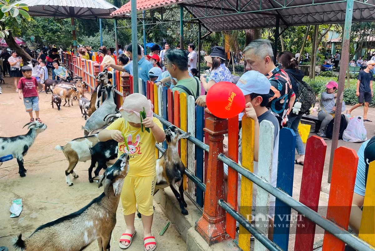 Đặc biệt, các em thiếu nhi được trải nghiệm thú vị khi tham quan các vườn thú. Các em được vui chơi cùng các loài thú nhỏ để thêm hiểu biết và yêu động vật. "Ở Thảo Cầm Viên vừa mát mẻ, vừa có nhiều động vật cho các bé xem, lại gần nhà. Dù đi mấy lần rồi nhưng bé vẫn thích lắm", chị Mỹ Linh (quận 1) chia sẻ.