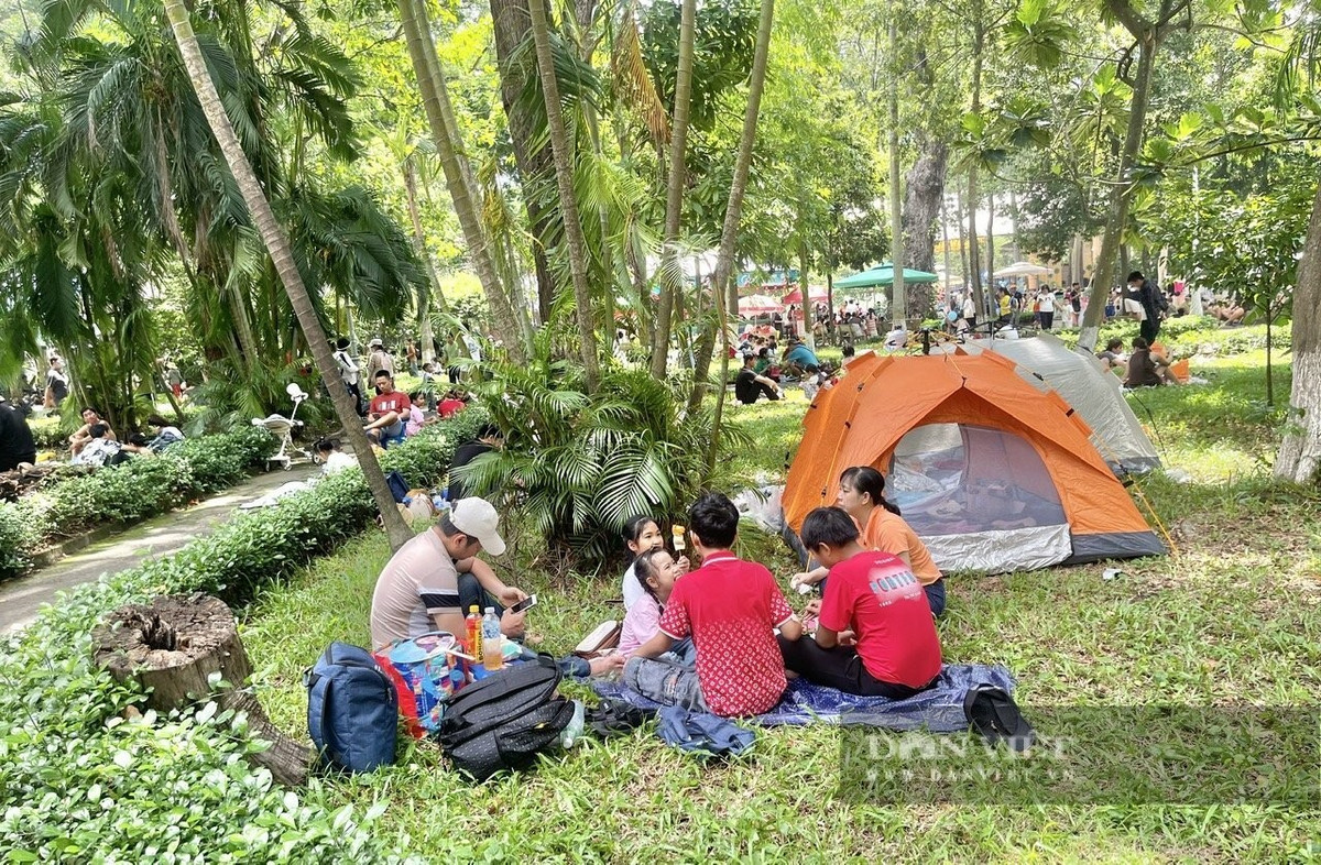 Các gốc cây lớn, thảm cỏ thành nơi nghỉ ngơi, ăn uống của du khách. Những gia đình ở tỉnh thành lân cận đến còn chuẩn bị cả võng, bạt, chiếu... làm nơi ngả lưng.