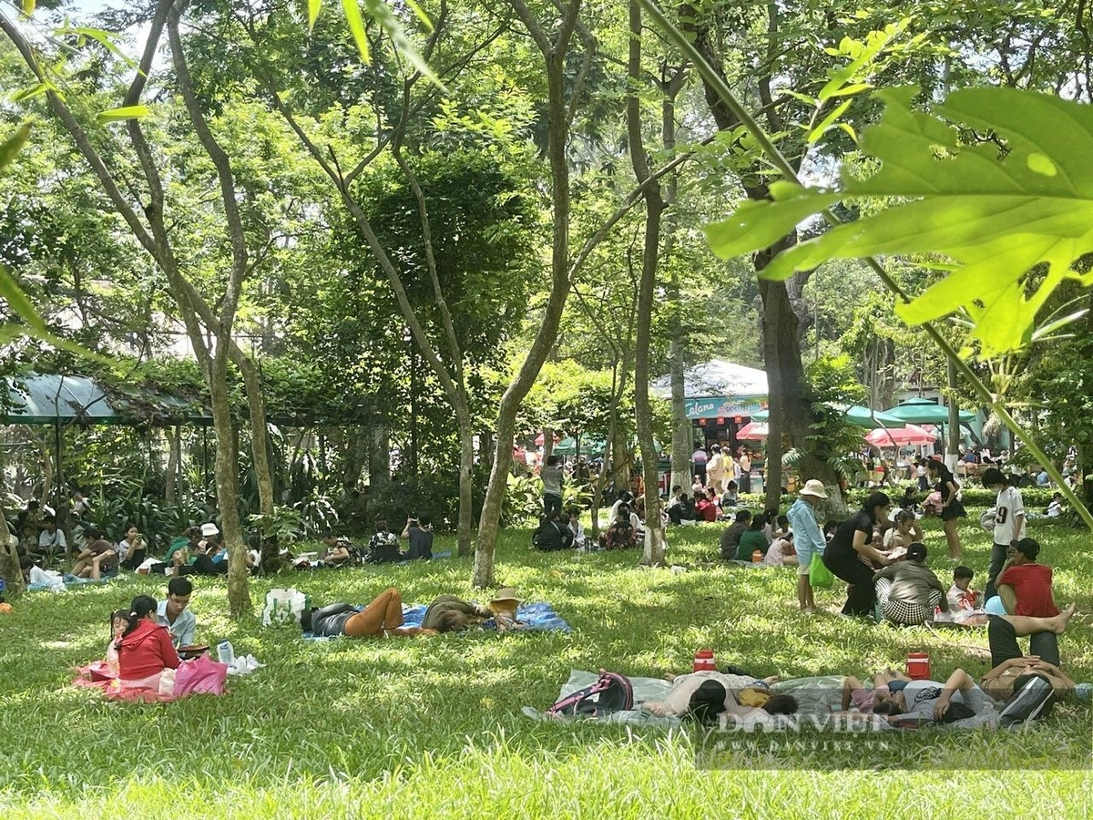 Dưới cái nóng ngày hè, người dân chọn Thảo Cầm Viên là nơi trốn nắng với những tán cây cổ thụ rợp bóng mát.