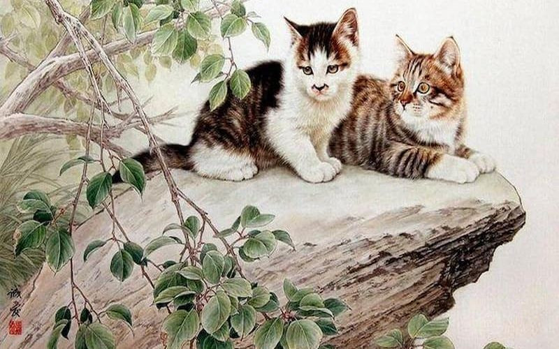 Với những ai đang loay hoay trong khó khăn tài chính, đây là lúc bứt phá thoát nghèo, trả nợ thành công và tái thiết cuộc sống.