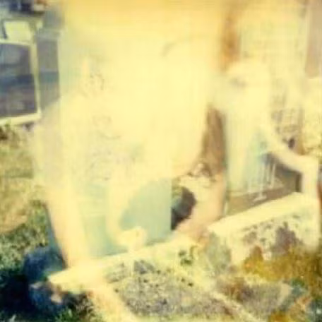 6. Cặp Tình Nhân Bên Mộ: Tháng 11/1982, tại mộ phần người mẹ mất từ năm 1934, cô Sarah ở Chicago chụp được cảnh tượng không tưởng: một cặp đôi trẻ đang ngồi tình tứ cạnh nhau, người con gái ôm thú cưng, chàng trai mặc áo phông xanh… Dù tấm ảnh được in ngay lập tức bằng máy SX-70, không ai có thể lý giải được sự xuất hiện của “hai bóng ma yêu nhau” ấy.