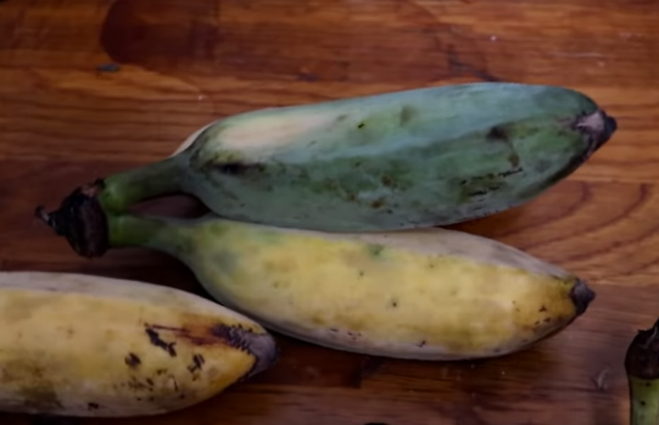 Khi chuối xanh "Java" chín già vẫn sẽ ngả về màu vàng giống như mọi cây chuối thông thường.