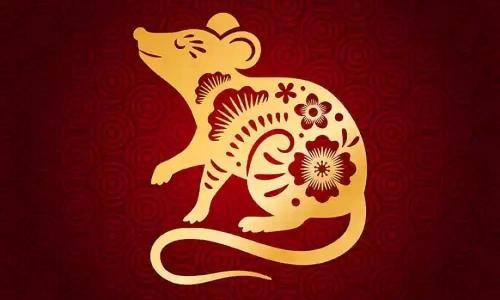 Từ 2025 – 2026: Tuổi Tý có nhiều cơ hội hợp tác làm ăn với quý nhân. Những ai làm kinh doanh sẽ ký được hợp đồng lớn, nguồn thu ổn định và ngày càng phát triển.