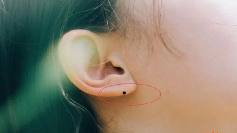 Nếu nữ giới có nốt ruồi ở dái tai thì cả đời gặp nhiều may mắn, được chồng yêu thương, con cái hiếu thảo, là cánh tay phải đắc lực, giúp chồng ngày một thành đạt, thăng hoa trong sự nghiệp.