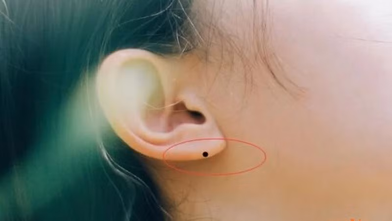 Nếu nữ giới có nốt ruồi ở dái tai thì cả đời gặp nhiều may mắn, được chồng yêu thương, con cái hiếu thảo, là cánh tay phải đắc lực, giúp chồng ngày một thành đạt, thăng hoa trong sự nghiệp.