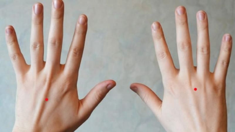 Những người này cũng có một nét duyên ngầm khó lý giải. Ở họ có sự dịu dàng, nữ tính nên dễ khiến người khác cảm thấy bị thu hút. Bên cạnh đó, họ cũng là người rất tài giỏi, linh hoạt và biết cách nắm giữ vận mệnh nên con đường công danh, sự nghiệp dễ thành công và gặp nhiều may mắn trong cuộc sống.