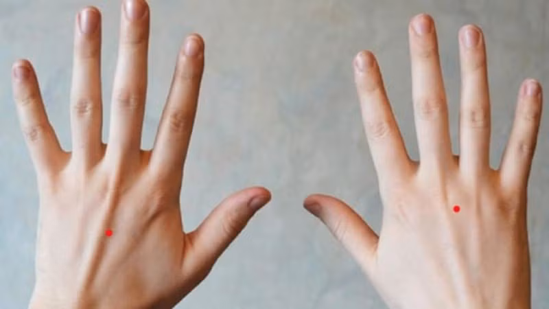 Những người này cũng có một nét duyên ngầm khó lý giải. Ở họ có sự dịu dàng, nữ tính nên dễ khiến người khác cảm thấy bị thu hút. Bên cạnh đó, họ cũng là người rất tài giỏi, linh hoạt và biết cách nắm giữ vận mệnh nên con đường công danh, sự nghiệp dễ thành công và gặp nhiều may mắn trong cuộc sống.