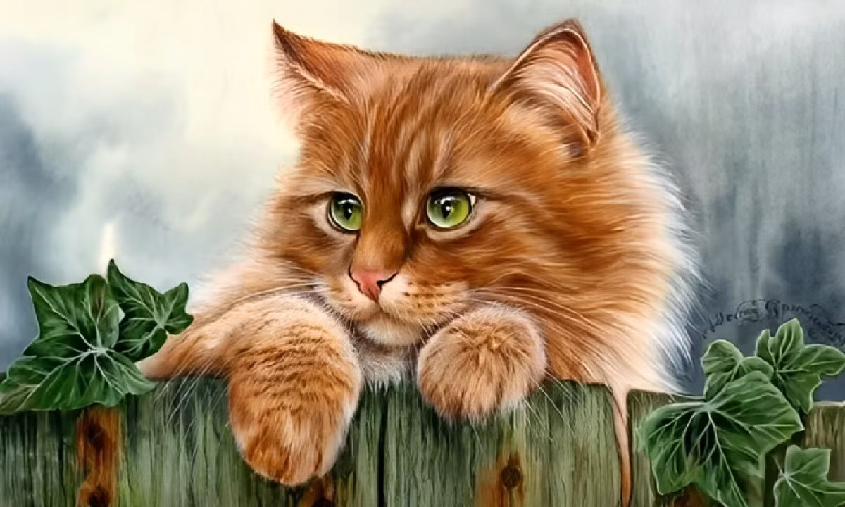 Tháng 10 âm, tuổi Mão nằm trong số những con giáp có vận số thăng hoa, công việc và cuộc sống cá nhân đều đơm hoa kết trái viên mãn. Đặc biệt, tuổi Mão sẽ còn dễ nhận được lộc trời, tài khoản liên tục nảy số. Bên cạnh đó, con giáp tuổi Mão được cho là sẽ đón nhận những tin vui từ phương xa.