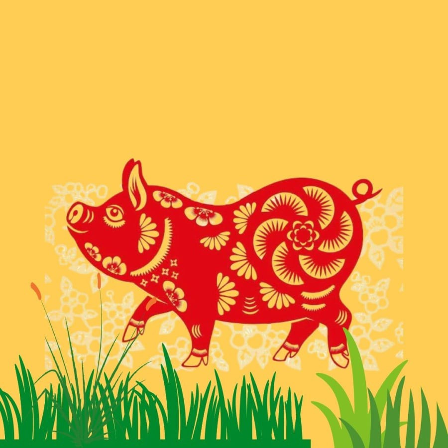 Tài lộc: Có thể có lộc nhỏ, nhưng không nên tham lam đầu tư lớn. Tình cảm: Cần sự thấu hiểu và chia sẻ nhiều hơn để tránh hiểu lầm. Sức khỏe: Chú ý các bệnh liên quan đến thận, bàng quang. Lời khuyên: Cẩn trọng trong mọi việc, lắng nghe trực giác, không nên chủ quan.(*Thông tin mang tính tham khảo, chiêm nghiệm).