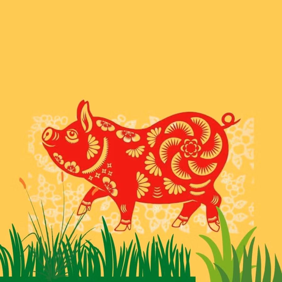 Tài lộc: Có thể có lộc nhỏ, nhưng không nên tham lam đầu tư lớn. Tình cảm: Cần sự thấu hiểu và chia sẻ nhiều hơn để tránh hiểu lầm. Sức khỏe: Chú ý các bệnh liên quan đến thận, bàng quang. Lời khuyên: Cẩn trọng trong mọi việc, lắng nghe trực giác, không nên chủ quan.(*Thông tin mang tính tham khảo, chiêm nghiệm).