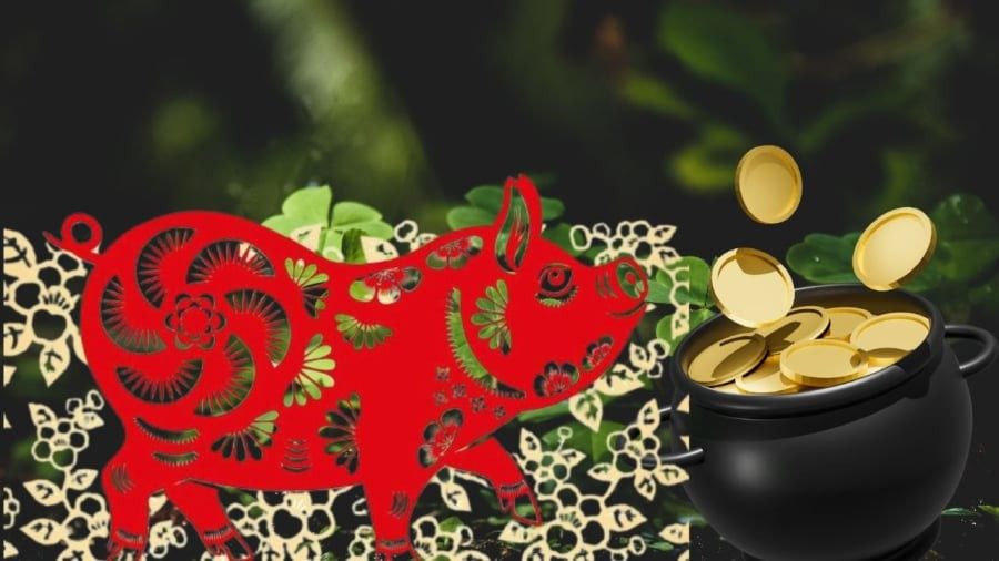 Tuổi Hợi: Hợi và Ngọ có mối quan hệ ngầm tương trợ (Ám Hợp), nhưng Hợi lại Xung với Thái Tuế Tỵ của năm. Do đó, tháng này tuy có chút may mắn nhỏ nhưng tổng thể vẫn tiềm ẩn khó khăn. Sự nghiệp: Có thể có người âm thầm giúp đỡ, nhưng vẫn cần cẩn trọng trước những thay đổi bất ngờ do ảnh hưởng của năm Xung Thái Tuế.