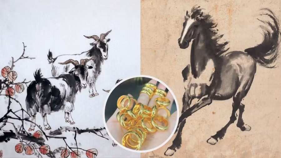 Về khía cạnh tài lộc và sự nghiệp, sự kết hợp giữa hai con giáp này thường mang lại sự hòa hợp và những điều tích cực. Tuổi Mùi thường có xu hướng tiết kiệm và quản lý chi tiêu cẩn thận. Với sự nhanh nhạy, tuổi Ngọ có thể tìm kiếm những cơ hội gia tăng thu nhập. (*Thông tin mang tính tham khảo, chiêm nghiệm).