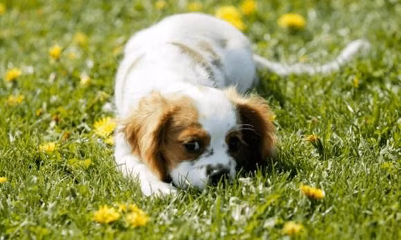 Về tài lộc, thu nhập tăng lên nhờ nỗ lực và cơ hội mới. Tuy nhiên, họ cần quản lý chi tiêu chặt chẽ, tránh lãng phí để tài sản tăng trưởng bền vững. (*Thông tin trong bài mang tính tham khảo, chiêm nghiệm).