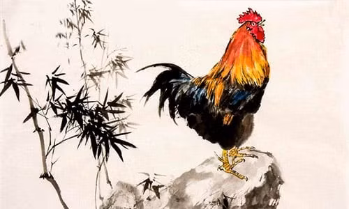 Tuổi Dậu – Tài lộc thăng hoa, tình cảm thuận lợi: Tuổi Dậu tuần này đón vận may theo cách êm đềm nhưng bền vững. Không ồn ào hay kịch tính, mà là chuỗi ngày công việc – tài chính – cảm xúc đều ổn định.