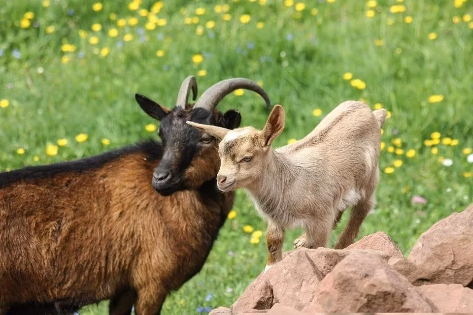 Người đã có gia đình càng thêm hòa hợp. Sự đồng lòng trong xây dựng tổ ấm, phát triển tài chính, thậm chí đón tin vui về con cái sẽ khiến hạnh phúc gia đình thêm viên mãn.