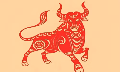 "Trồng liễu vô tình, liễu mọc thành bóng râm", mô tả những người sinh năm Sửu như vậy. Trong mười năm tới, những người sinh năm Sửu sẽ được vận may bất ngờ bảo trợ.