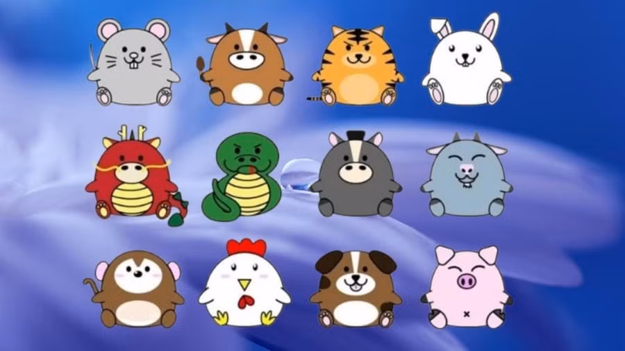 Tháng 6/2025, dưới ảnh hưởng của hung tinh như “Bệnh Phù”, “Thiên La” hay “Tiểu Hao”, một vài con giáp sẽ gặp không ít sóng gió. Những rắc rối có thể đến từ công việc, tài chính hoặc chuyện tình cảm khiến tinh thần xuống dốc. Tuy nhiên, nếu biết đề phòng và điều chỉnh thái độ, bạn vẫn có thể giảm thiểu thiệt hại và “lội ngược dòng” về cuối tháng.