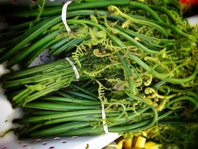 Dương xỉ có vị ngọt, tính hàn, có công dụng giải độc, thanh nhiệt, làm ẩm ruột, tiêu đờm, dùng thường xuyên có thể hạ huyết áp, giảm chóng mặt, mất ngủ.