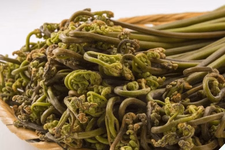  2. Dương xỉ: Loại dương xỉ này có nhiều cái tên khác nhau như rau đầu rồng, rau móng mèo, mọc chủ yếu trong rừng sâu. Người ta chỉ ăn phần ngọn, lúc búp lá non chưa nở, nó rất giàu chất đạm, bột đường và nhiều nguyên tố vi lượng khác.