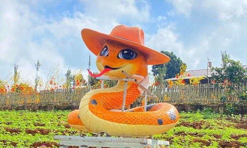 Nếu biết cân bằng giữa lý trí và cảm xúc, tuần mới này có thể mang lại cho người tuổi Tỵ không chỉ tài lộc dồi dào mà còn là bước đệm vững chắc cho sự phát triển lâu dài.