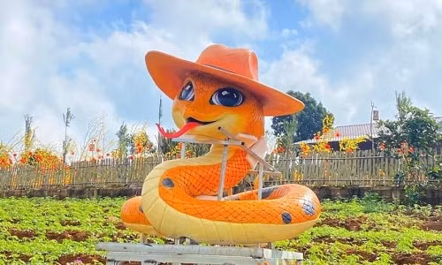 Nếu biết cân bằng giữa lý trí và cảm xúc, tuần mới này có thể mang lại cho người tuổi Tỵ không chỉ tài lộc dồi dào mà còn là bước đệm vững chắc cho sự phát triển lâu dài.