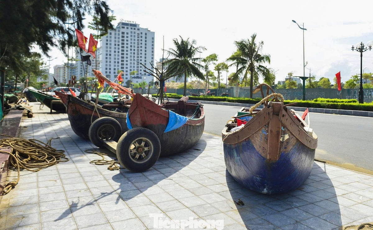 Tỉnh Thanh Hóa cũng đã ban hành lệnh cấm biển trên toàn địa bàn, bắt đầu từ 6h ngày 27/9 và kéo dài cho đến khi bão không còn ảnh hưởng. Ngoài ra, Sở Giáo dục và Đào tạo tỉnh Thanh Hóa đã quyết định cho học sinh toàn tỉnh nghỉ học vào ngày 29/9.