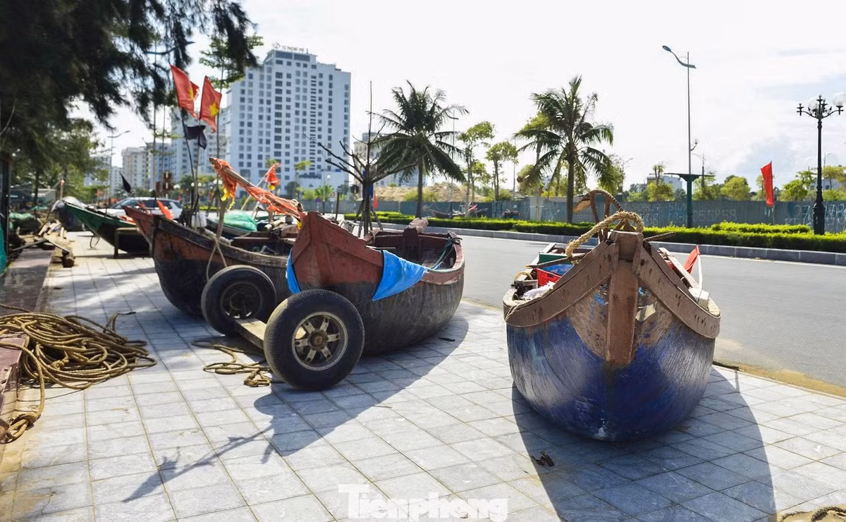Tỉnh Thanh Hóa cũng đã ban hành lệnh cấm biển trên toàn địa bàn, bắt đầu từ 6h ngày 27/9 và kéo dài cho đến khi bão không còn ảnh hưởng. Ngoài ra, Sở Giáo dục và Đào tạo tỉnh Thanh Hóa đã quyết định cho học sinh toàn tỉnh nghỉ học vào ngày 29/9.