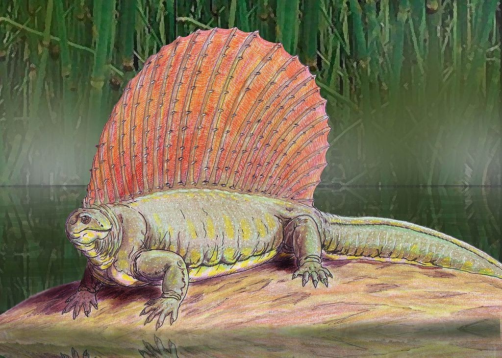  Kích thước tương đối lớn so với thời đại. Edaphosaurus có thể dài tới 3 mét, là động vật ăn cỏ nổi bật trong hệ sinh thái Permi. Ảnh: Pinterest.