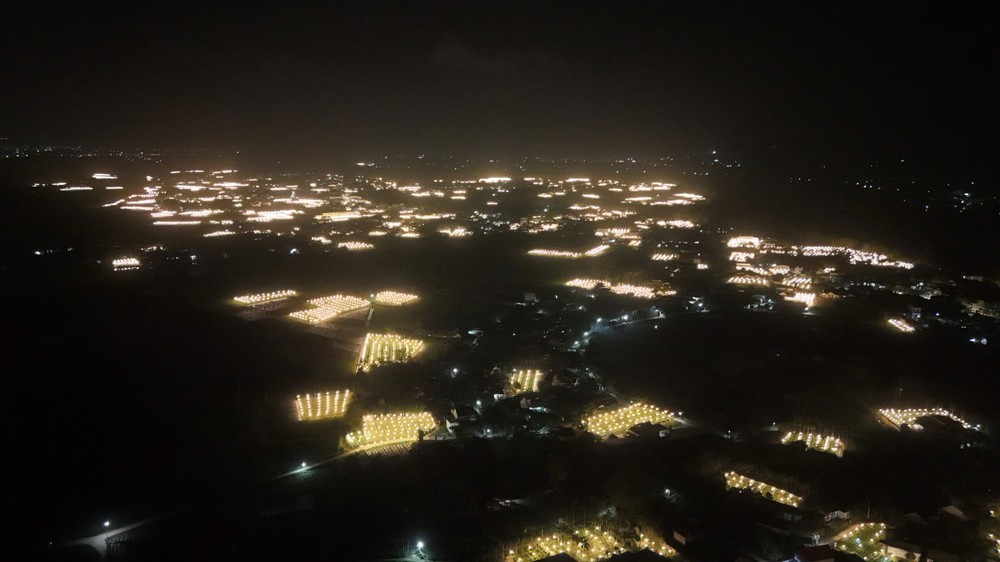 Nhìn từ trên cao, làng hoa Nghĩa Hiệp rực rỡ ánh đèn giăng các vườn hoa cúc.