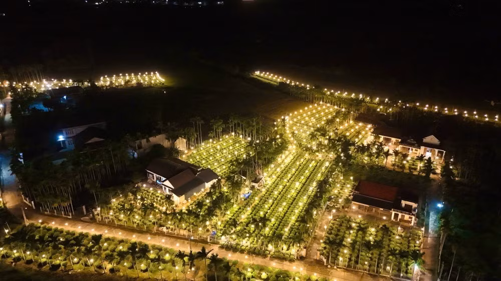 Khung cảnh rực rỡ này chỉ xuất hiện một lần mỗi năm.