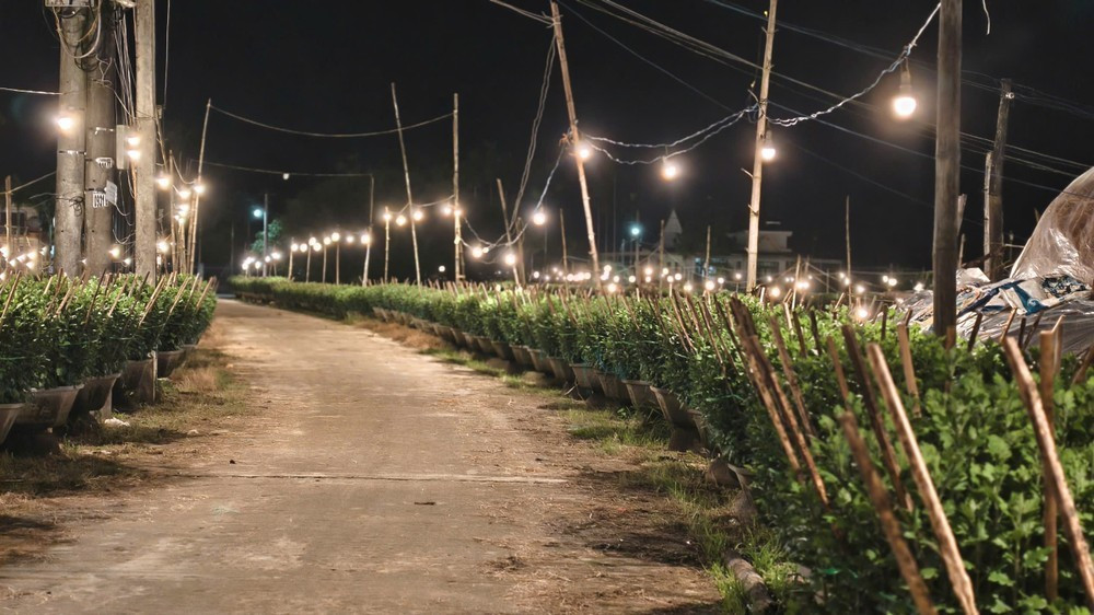 Những con đường trong thôn cũng trở nên rực rỡ vào mỗi đêm.