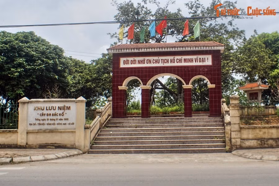 Bên Quốc lộ 3 ở trung tâm xã Đông Hội, huyện Đông Anh có Khu lưu niệm Cây đa Bác Hồ, một địa danh lịch sử gắn liền với phong trào Tết trồng cây do Chủ tịch Hồ Chí Minh khởi xướng.