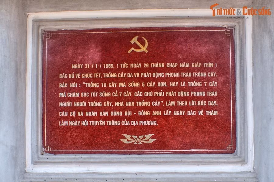 Sau ngày Bác Hồ mất, để tưởng nhớ Người, cán bộ và nhân dân Đông Hội, Đông Anh lấy ngày Bác về thăm làm ngày hội truyền thống. Địa điểm Bác trồng cây đa được gìn giữ như một di tích lịch sử cách mạng của địa phương.