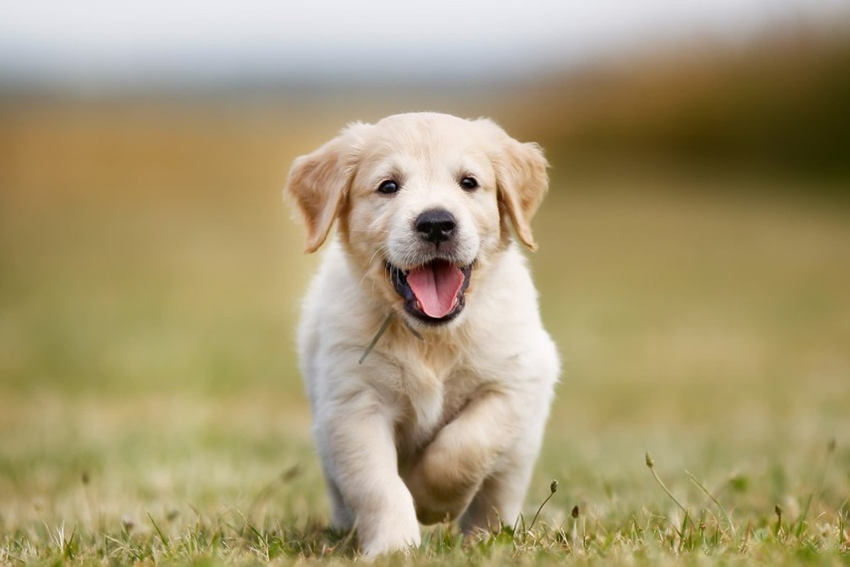 Lời khuyên: Hãy tìm "đồng minh". Đừng đơn độc chiến đấu. Hãy mở lòng tìm kiếm những người thầy, người bạn đồng hành tin cậy. Khi chuẩn bị cho một kế hoạch, hãy dự trù cho những tình huống xấu nhất. Sự chuẩn bị kỹ càng và sự hỗ trợ từ tập thể sẽ giúp bạn vững vàng.